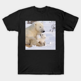 Mother polar bear & cub T-Shirt